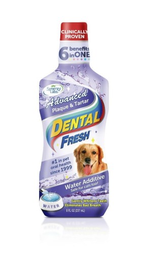 SynergyLabs - Dental Fresh, Kamień & Osad - płyn do higieny jamy ustnej, 503 ml