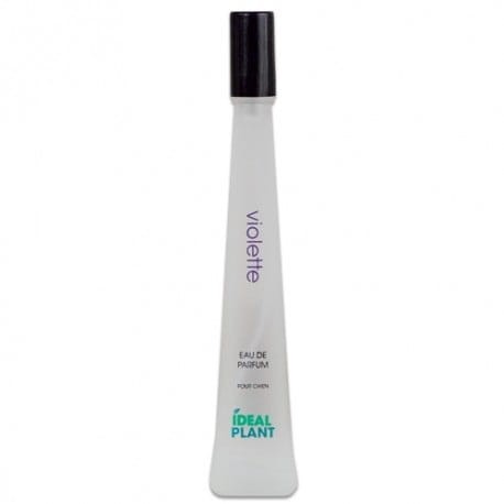 Ideal Plant - Violette - perfumy o zapachu fiołka, 30 ml