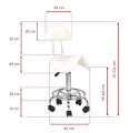 Hocker groomerski 6001 rodeo z oparciem, biały
