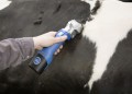 Aesculap - Econom CL  Fitter - bezprzewodowa maszynka do strzyżenia bydła i koni z ostrzem GT502/GT501