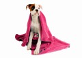 Show Tech+ Microfibre Towel - ręcznik z mikrofibry z haftem, 56 x 90 cm