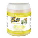 Iv San Bernard - Fruit of the Groomer, Ginger and Elderberry Mask - maska oczyszczająca, przeciwbakteryjna z imbirem i czarnym bzem, 1l