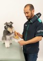 Artero - Snake Hands Free Hair Dryer - suszarka ręczna z możliwością użycia na szyi, 2400 W