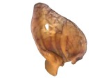 Uniszki - Ucho wieprzowe - naturalny gryzak dla psów, 1 szt.