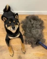 Refuresh - Deshedding Brush Short/Medium Fur, Red - narzędzie do usuwania podszerstka dla sierści krótkiej i średniej, rozmiar S