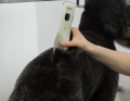 Wahl - KMC+ Cord Cordless Clippper - bezprzewodowo-sieciowa maszynka do strzyżenia  z ostrzem nr 10 - 1,5 mm