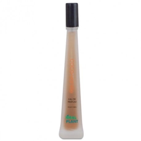 Ideal Plant - Coco-Vanille - perfumy o zapachu kokosowo-waniliowym, 30 ml