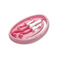 Tick Twister Clipbox Trio - Kleszczołapki® do usuwania kleszczy w breloczku w stylu karabińczyka, zestaw 3 szt.