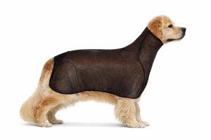 Siatka do suszenia Goldenów - rozmiar M