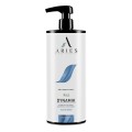 Aries - Dynamik 2in1 Shampoo & Mask with Argan Oil - szampon z odżywką / maską, oczyszcza i regeneruje