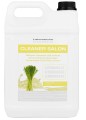Diamex - Cleaner Salon Citronnelle - preparat czyszczący i odświeżający powierzchnię o zapachu cytrynowym, 5l