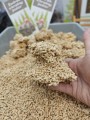 AnimaxKot - Golden Line 3 mm - naturalny, zbrylający żwirek drewniany, pałeczki 3 mm