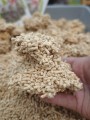 AnimaxKot - Golden Line 3 mm - naturalny, zbrylający żwirek drewniany, pałeczki 3 mm