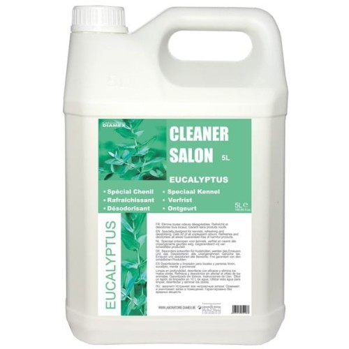 Diamex - Cleaner Salon Eucalyptus - preparat czyszczący i odświeżający o zapachu eukaliptusa, 5 l