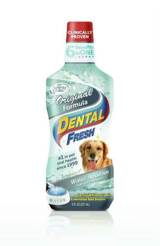 SynergyLabs - Dental Fresh Original - płyn do higieny jamy ustnej, 503 ml