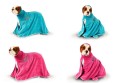 Show Tech - Dry Dude Towel - ręcznik szybkoschnący z mikrofibry, rozmiar S