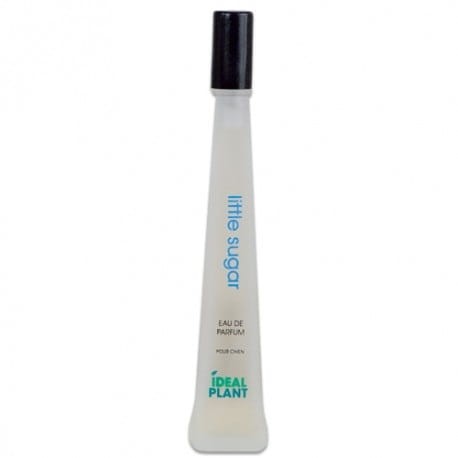 Ideal Plant - Little Sugar - perfumy o zapachu cukierkowym, 30 ml