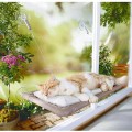 Oster - Less Stress Sunny Seat - przenośne legowisko dla kota montowane na oknie, naokienne