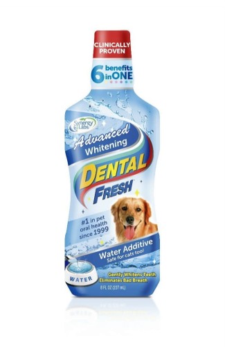 SynergyLabs - Dental Fresh - wybielający płyn do higieny jamy ustnej, 237 ml
