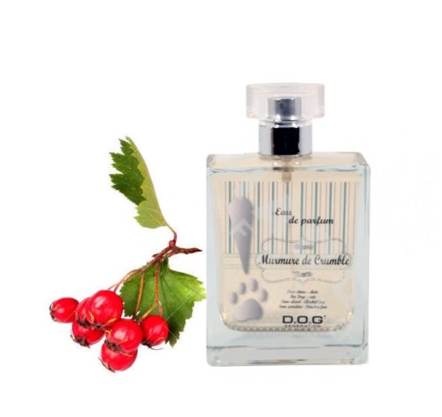 Dog Generation - Murmure de Crumble - woda perfumowana o zapachu czerwonych jagód dla psów i kotów, 100 ml