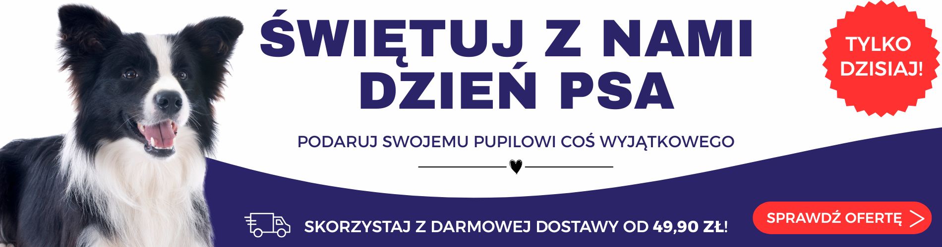 Dzień psa 2026